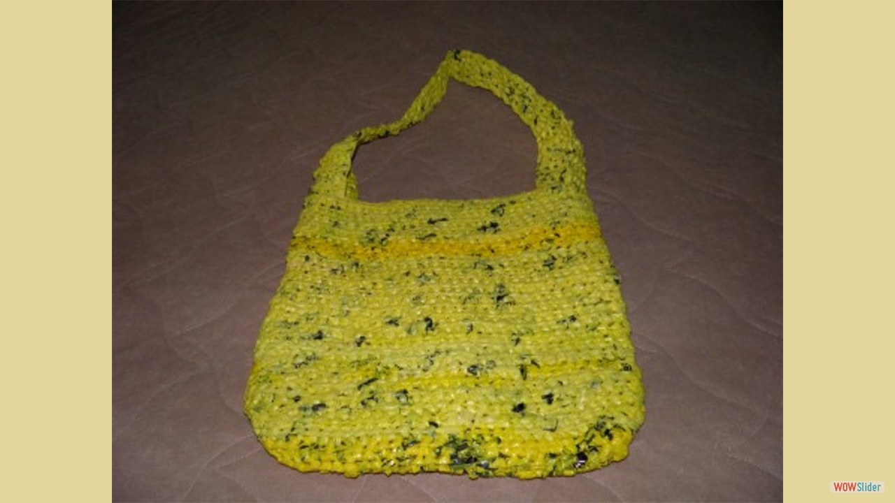 10202010_tinarowedollargeneralshoulderbag