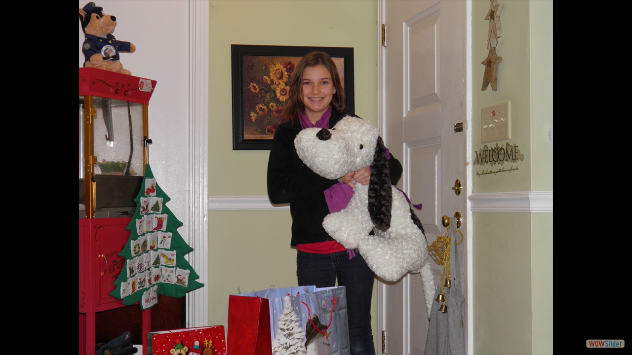 20131223 001 AbbyDog