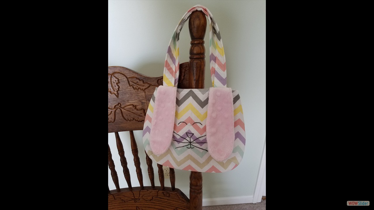 20170329 001 NoraEasterBag